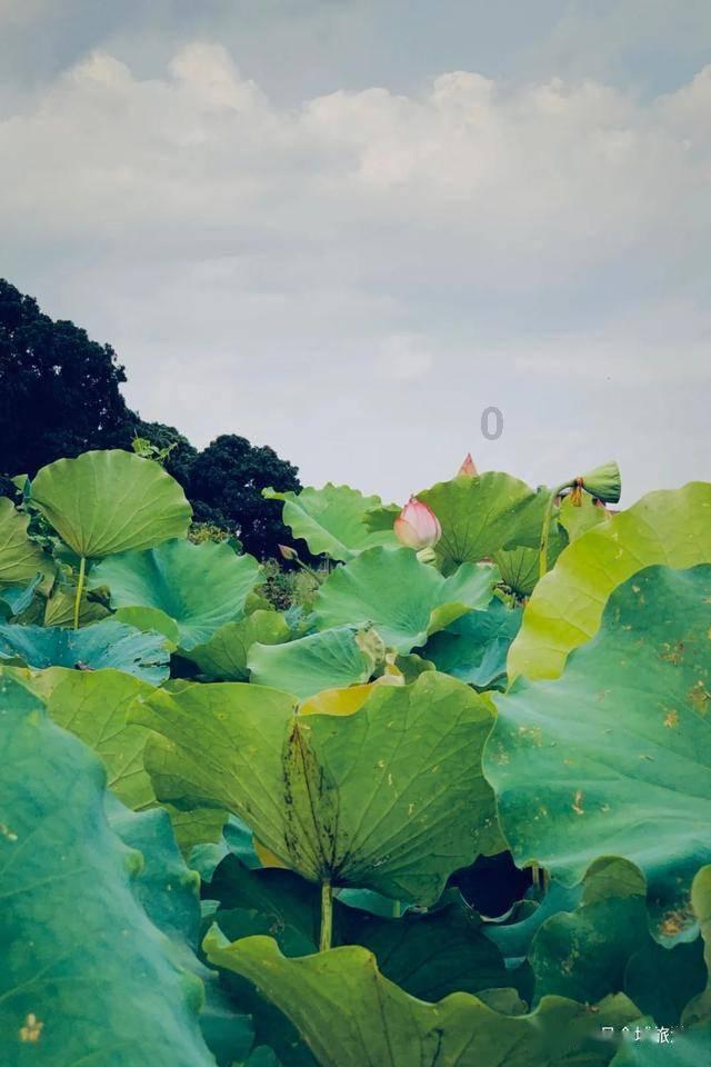 万亿魔坏神