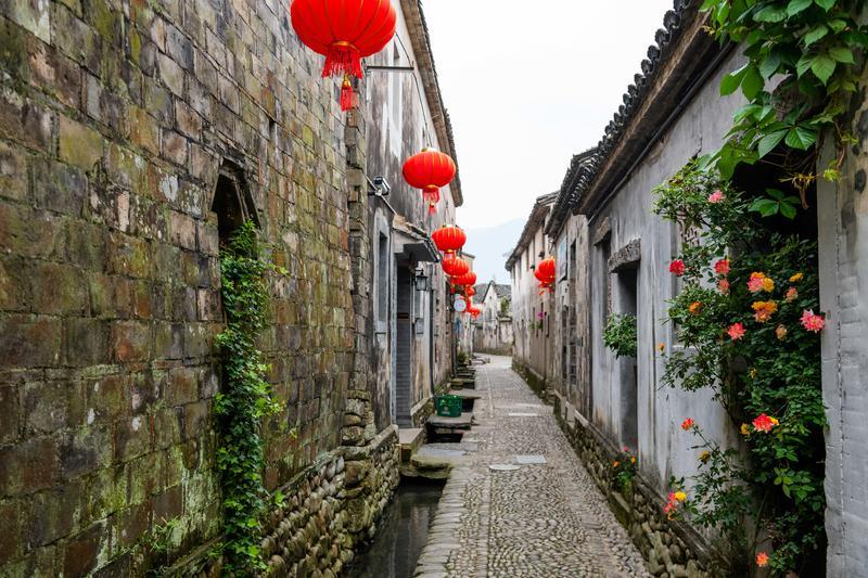 两会新视野|刘伟:加大乡村特色引领 坚持“一村一特”联动发展